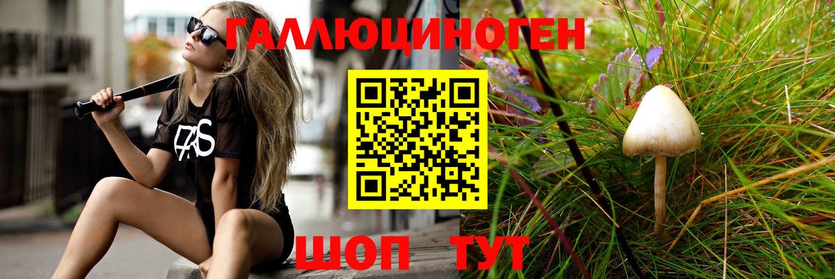 Карасук  Галлюциногенные грибы GOLDEN TEACHER  Галлюциногенные грибы MAGIC MUSHROOMS  цены наркотик  Вход с VPN 
