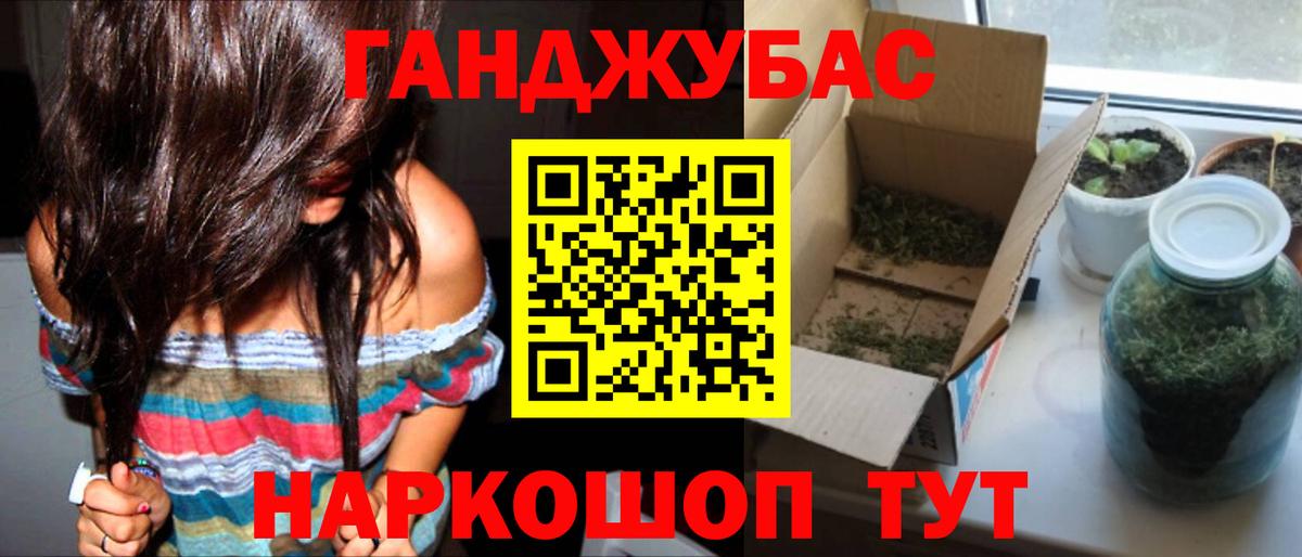 Шишки марихуана сатива Карасук
